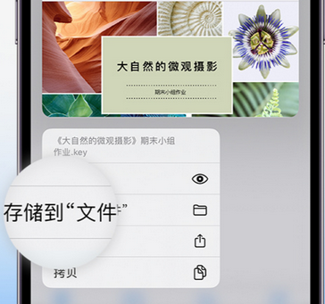 五指山apple维修中心分享iPhone文件应用中存储和找到下载文件