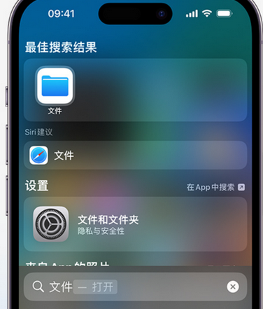 五指山apple维修中心分享iPhone文件应用中存储和找到下载文件 