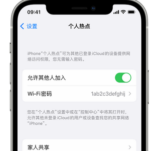 五指山apple服务站点分享iPhone上个人热点丢失了怎么办 