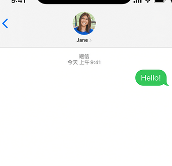 五指山apple维修iPhone上无法正常发送iMessage信息