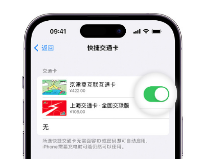 五指山apple维修点分享iPhone上更换Apple Pay快捷交通卡手绘卡面 