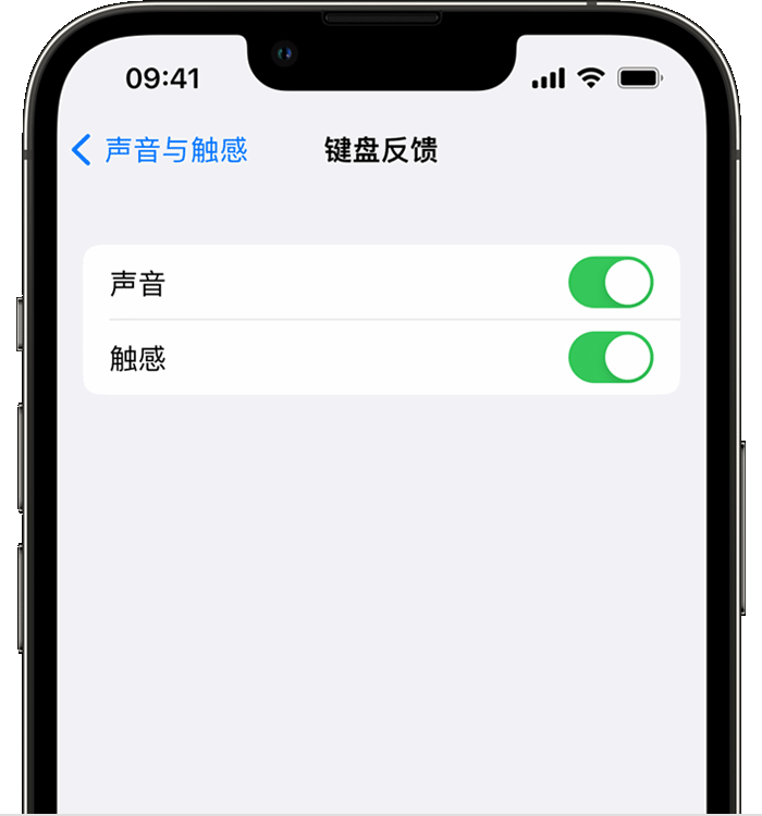 五指山苹果14维修店分享如何在 iPhone 14 机型中使用触感键盘 