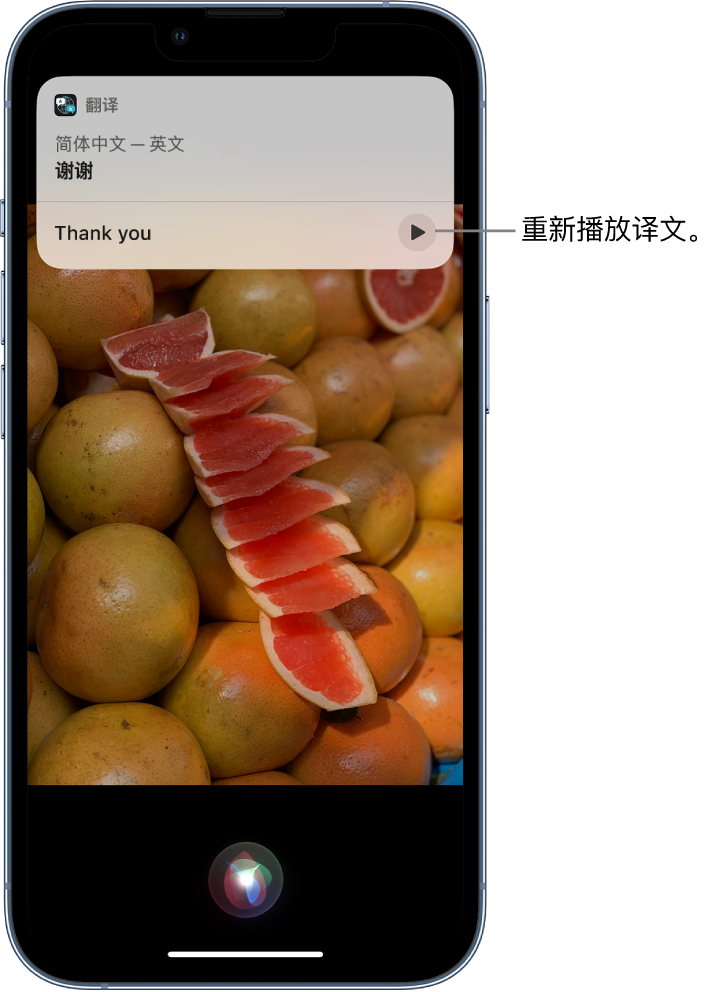 五指山苹果14维修分享 iPhone 14 机型中使用 Siri：了解 Siri 能帮你做什么 