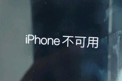 五指山苹果服务网点分享锁屏界面显示“iPhone 不可用”如何解决 