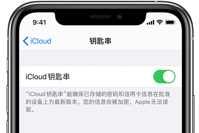 五指山苹果手机维修分享在 iPhone 上开启 iCloud 钥匙串之后会储存哪些信息 